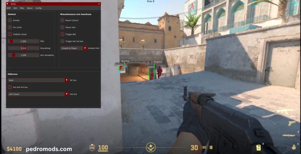 CS2 External Cheat